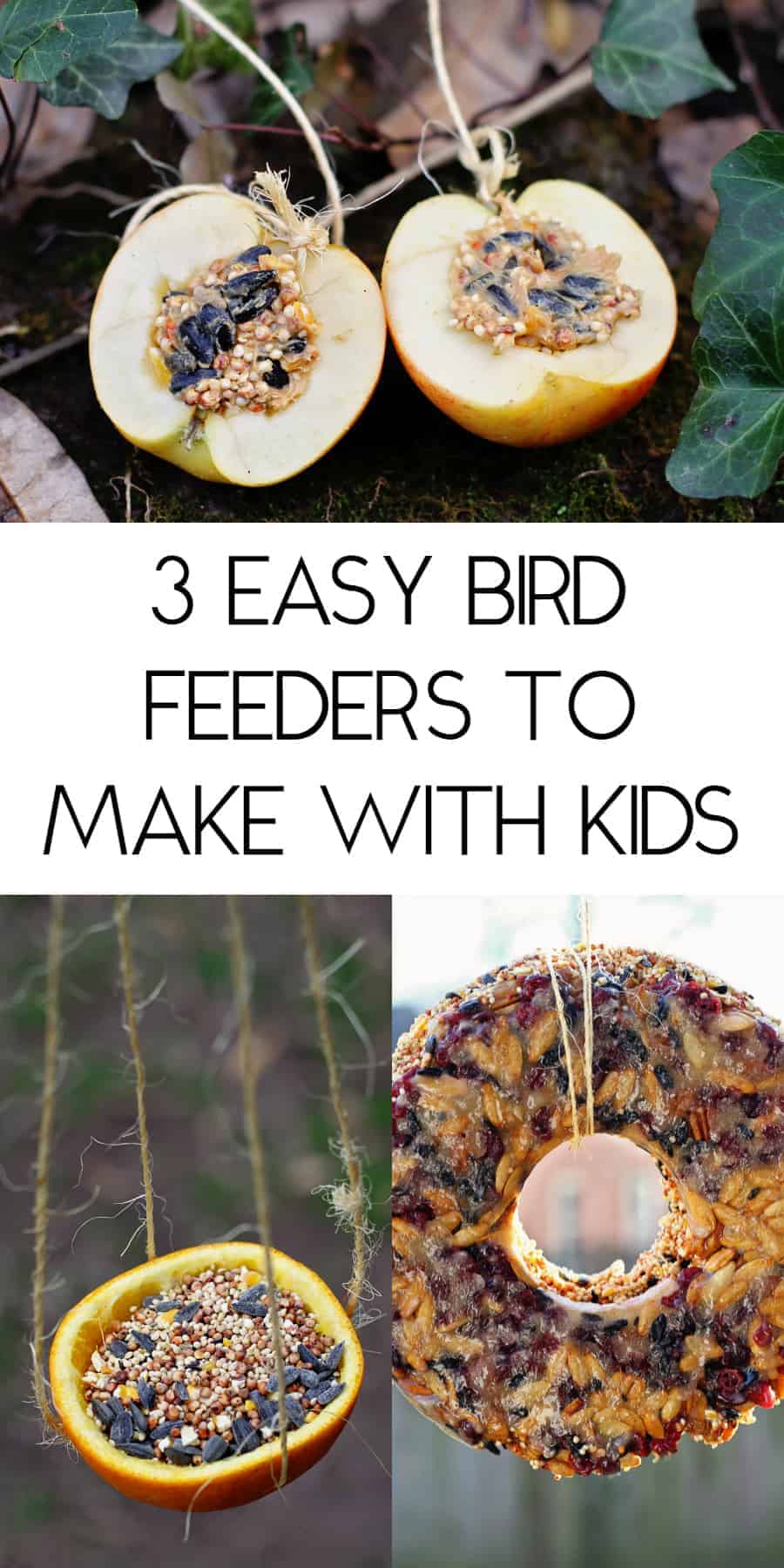 3 easy bird feeders to make with kids
