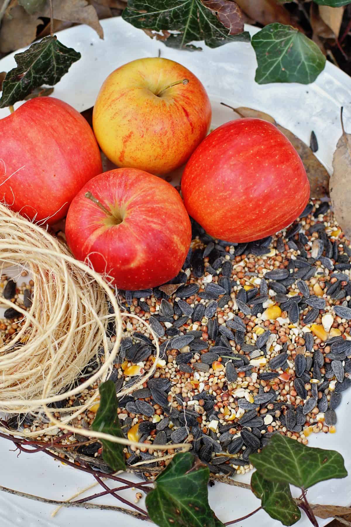 3 ingredient apple core bird feeder