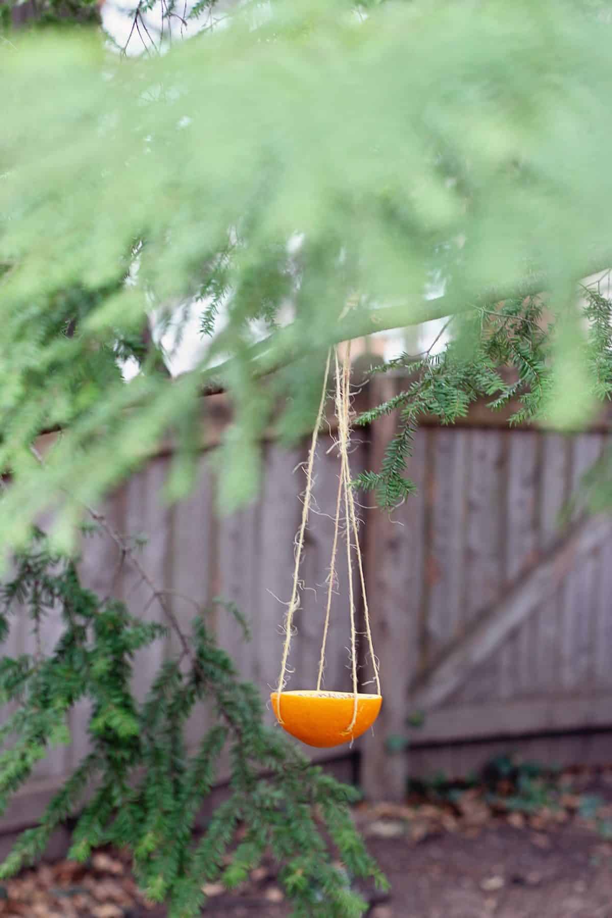 hanging refillable orange peel bird feeder