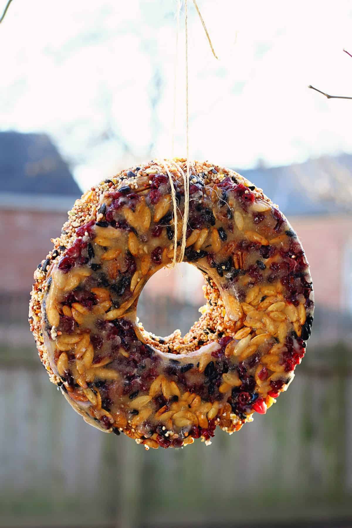 how to make a bundt pan bird seed feeder wreath
