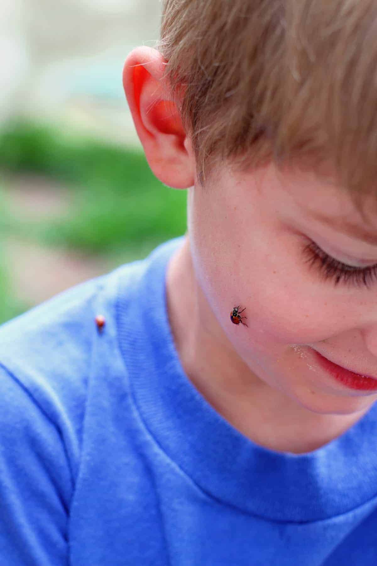releasing ladybugs into your garden with kids