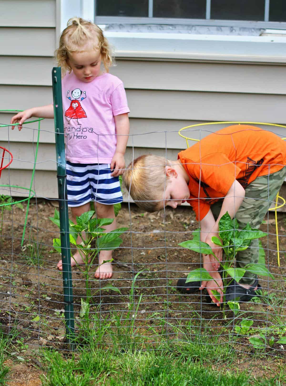 making gardening fun for kids