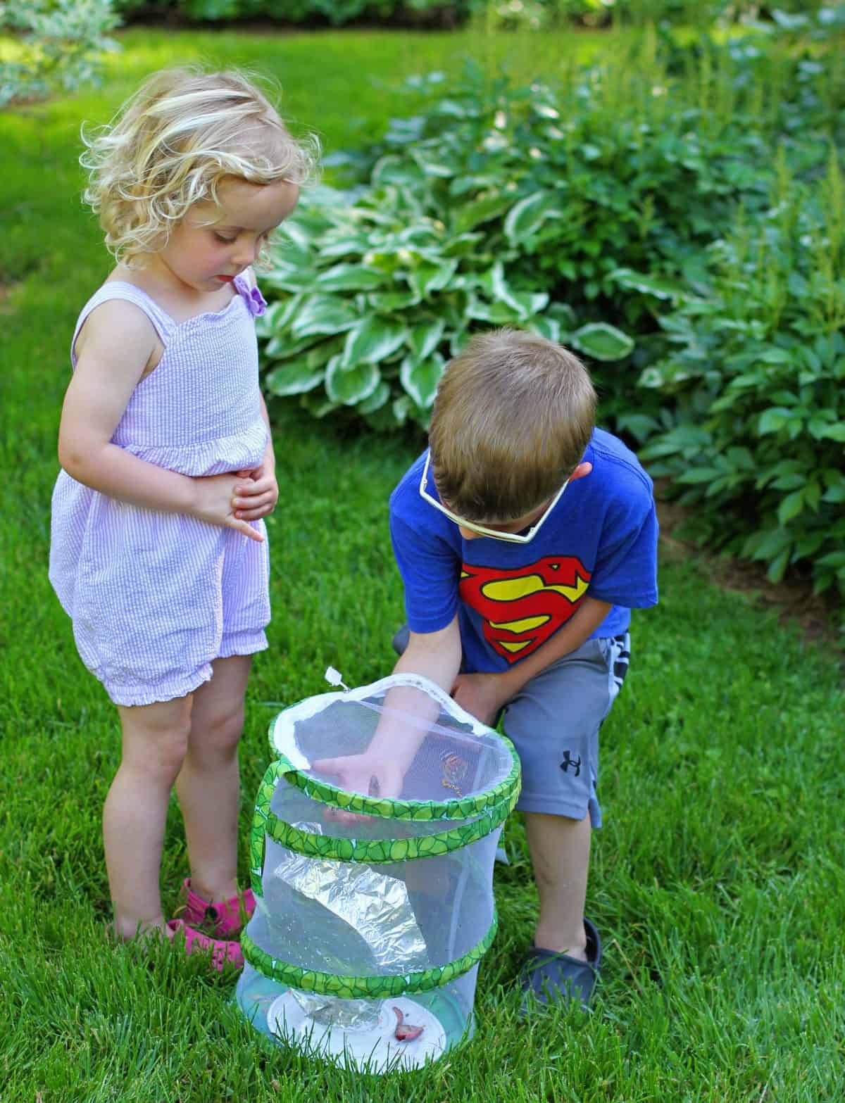 teaching kids about butterfly release