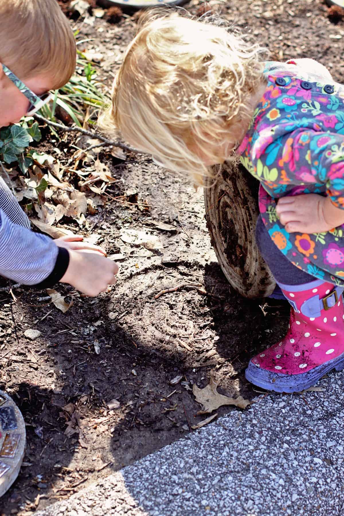 finding worms with kids