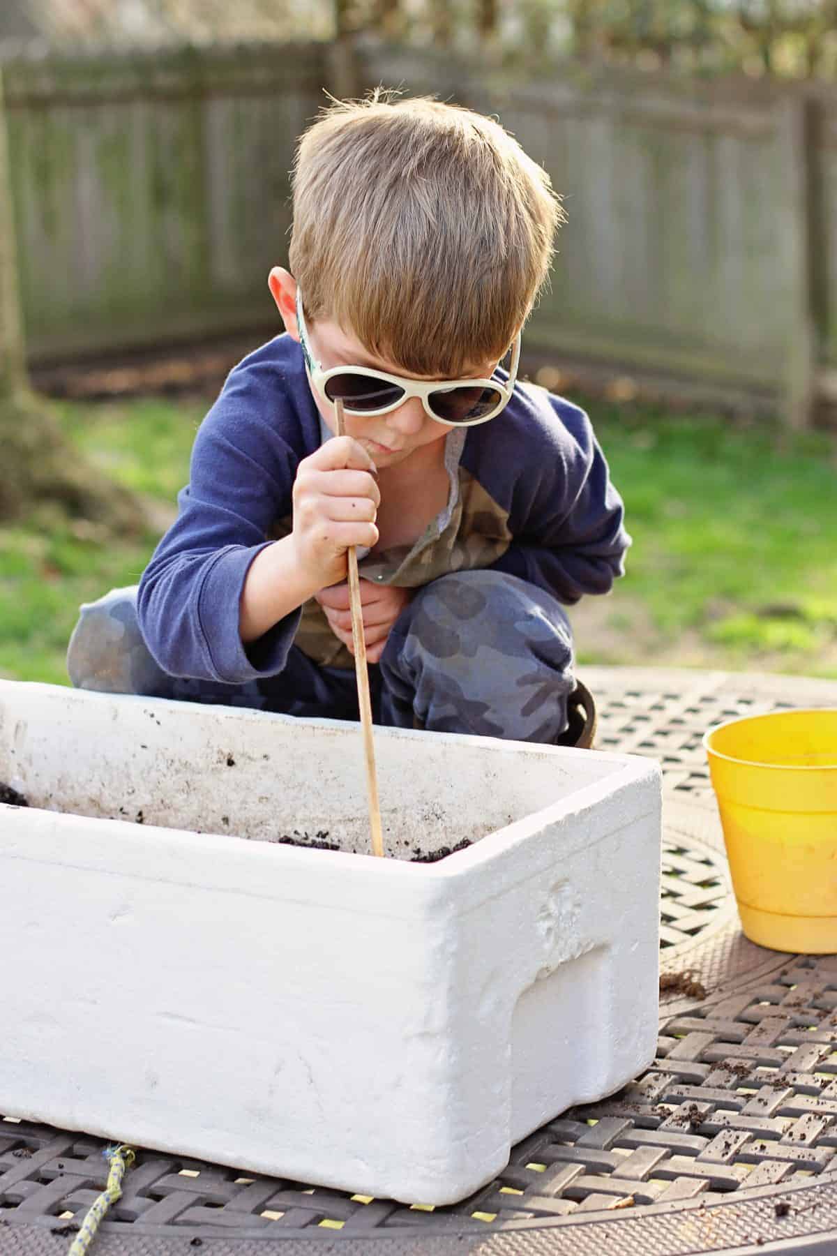 How to Create a Wormery with Kids and Teach them About Worms