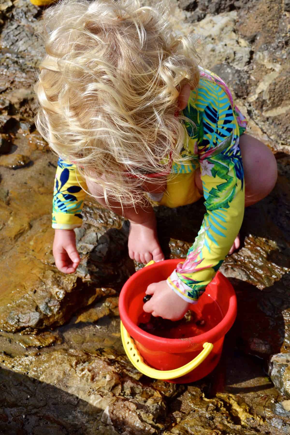 what to pack when exploring tide pools with kids