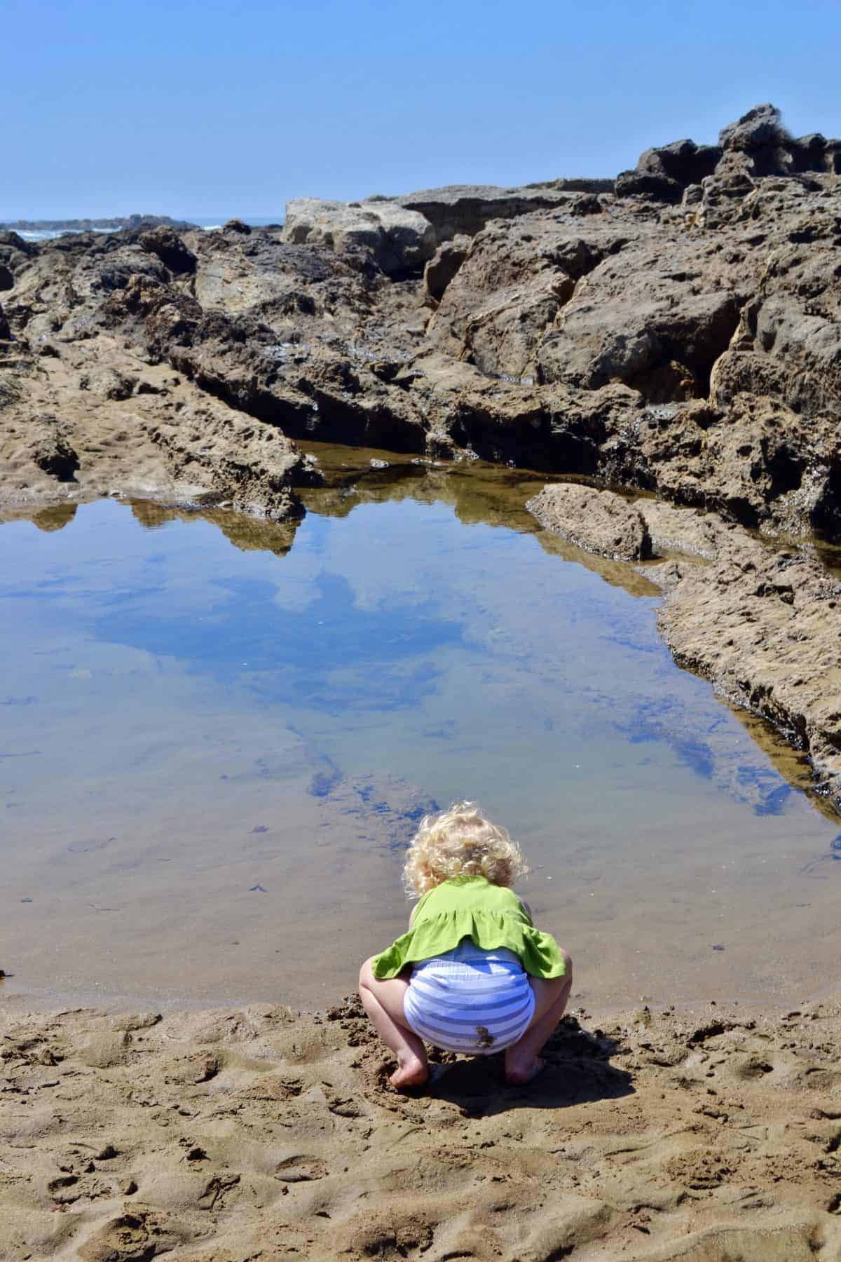 california tide pools for kids