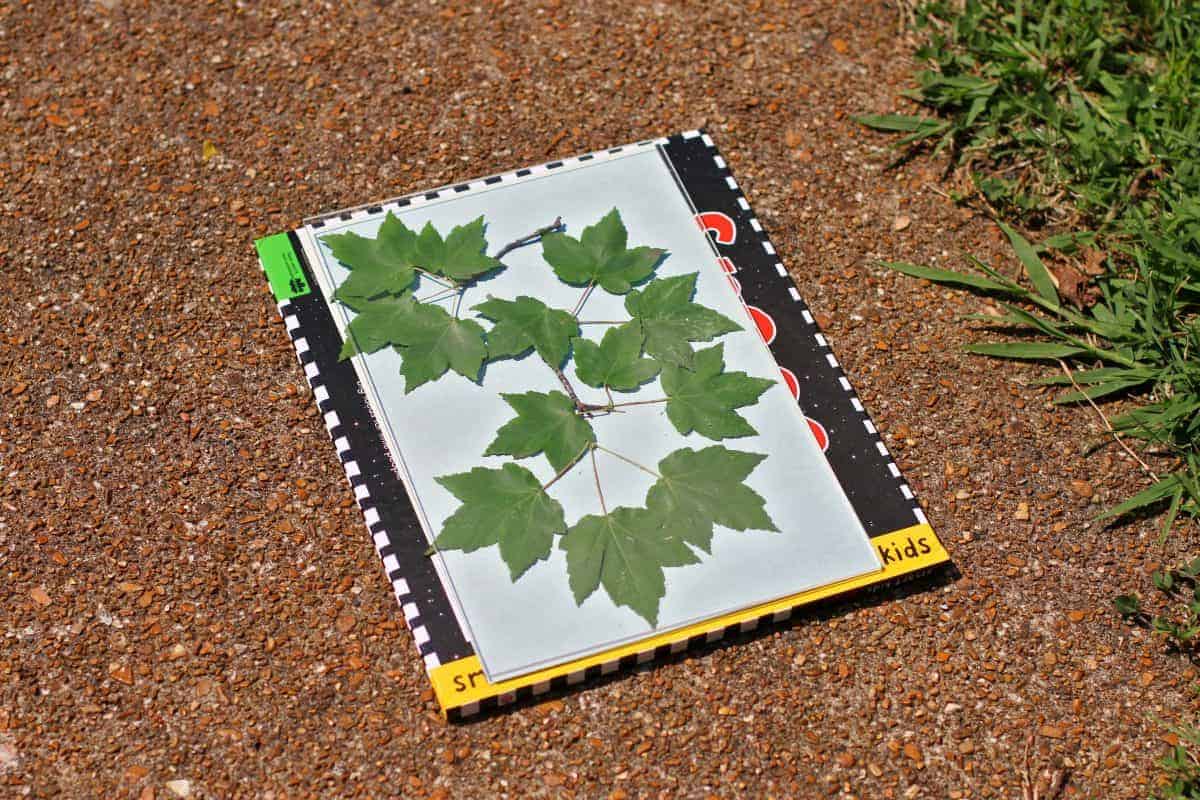 Sun Print Paper Kit Sun Art Paper Sensitivity Nature Printing Paper Solar  Drawing Paper A5 Sun Paper Kit For Kids Adults Diy Arts Crafts Project Sun  Art Paper - Temu