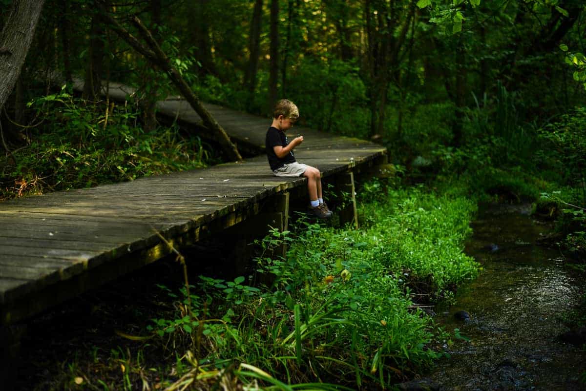 sit spotting nature meditation with kids