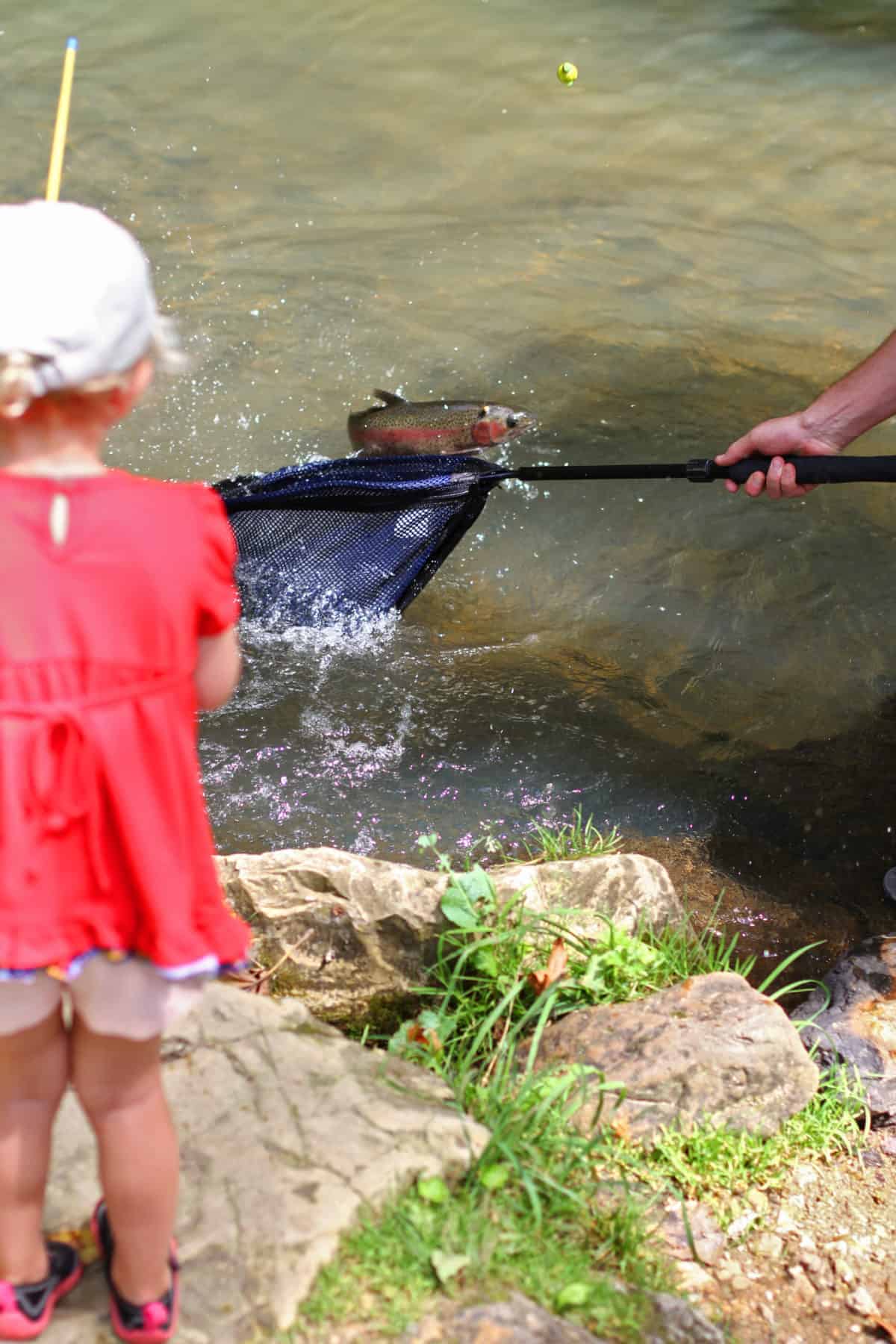 world's best fly fishing location for kids