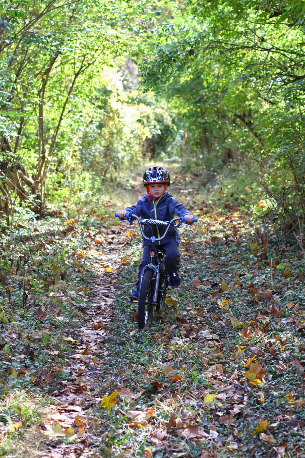 gear review schwinn bikes boys amplify kids bike