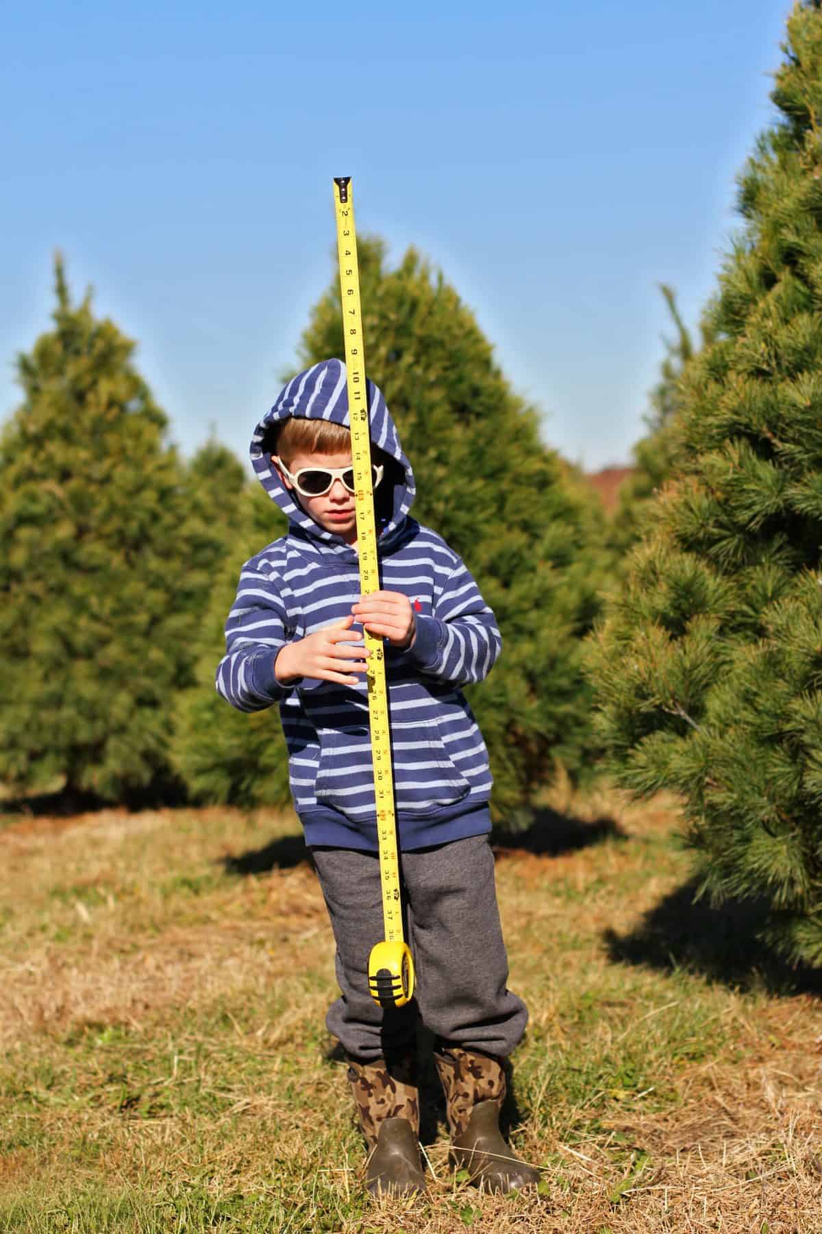 Tips for cutting down your own Christmas tree with kids