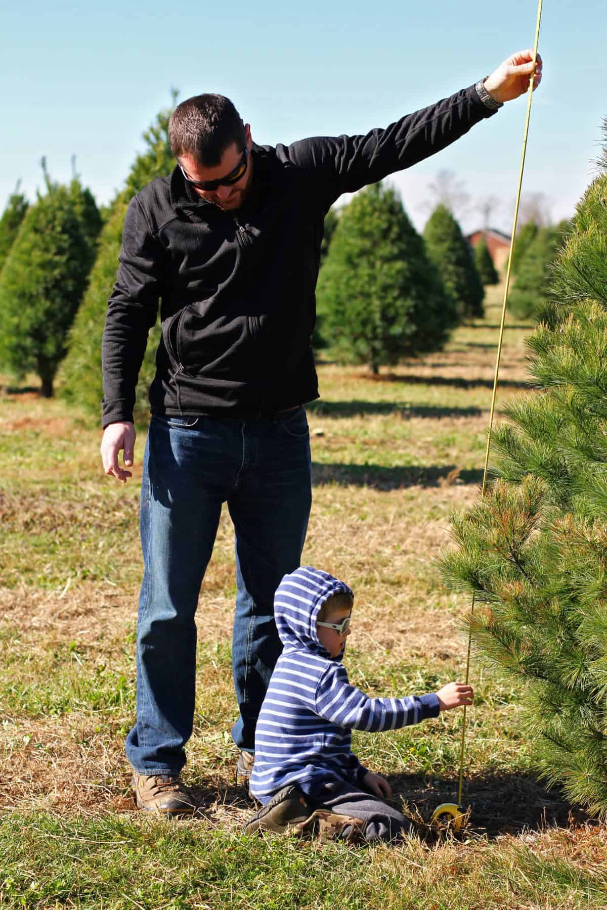 tips for cutting down your own christmas tree