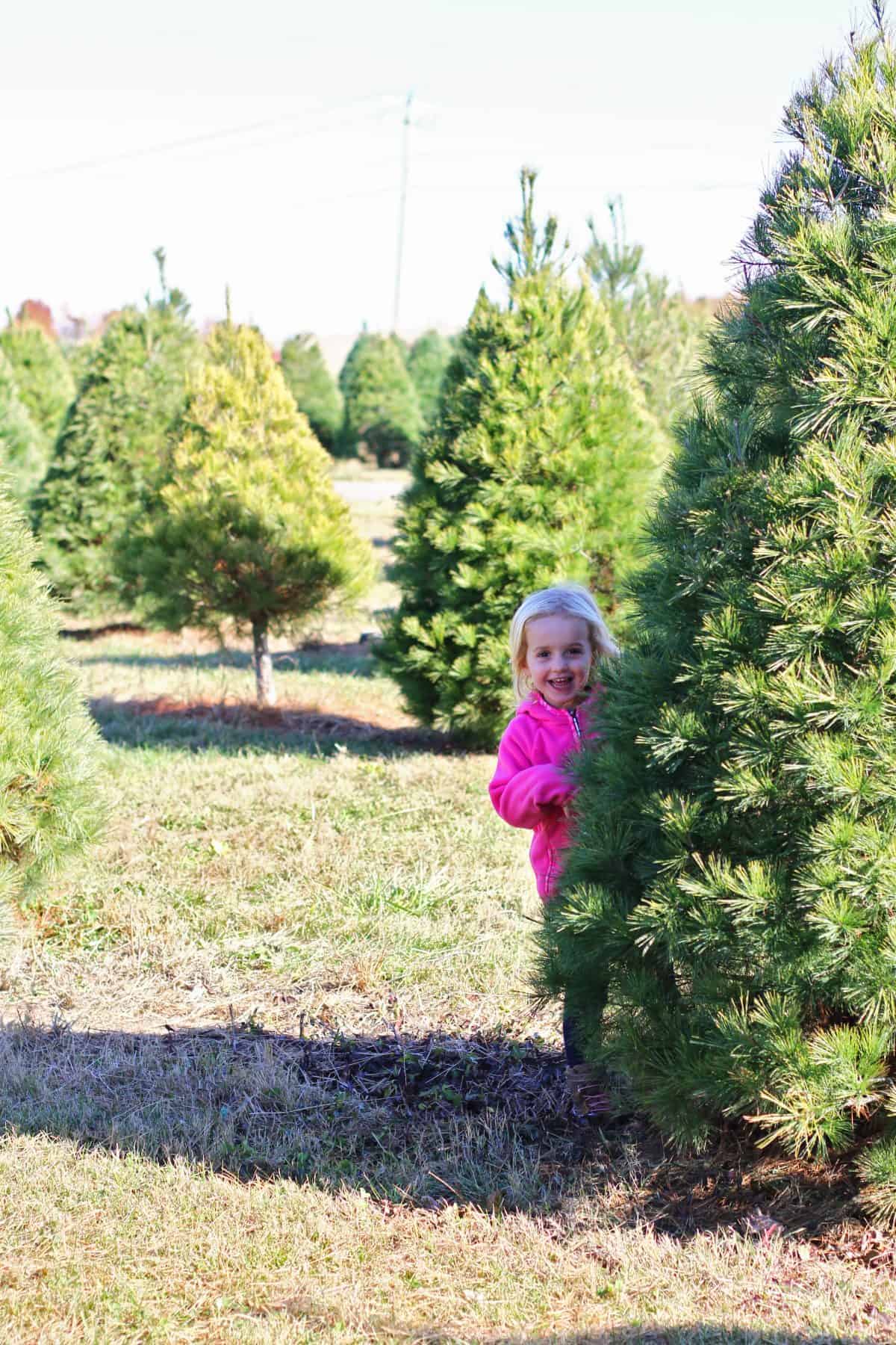 family tradition cutting down a christmas tree with kids