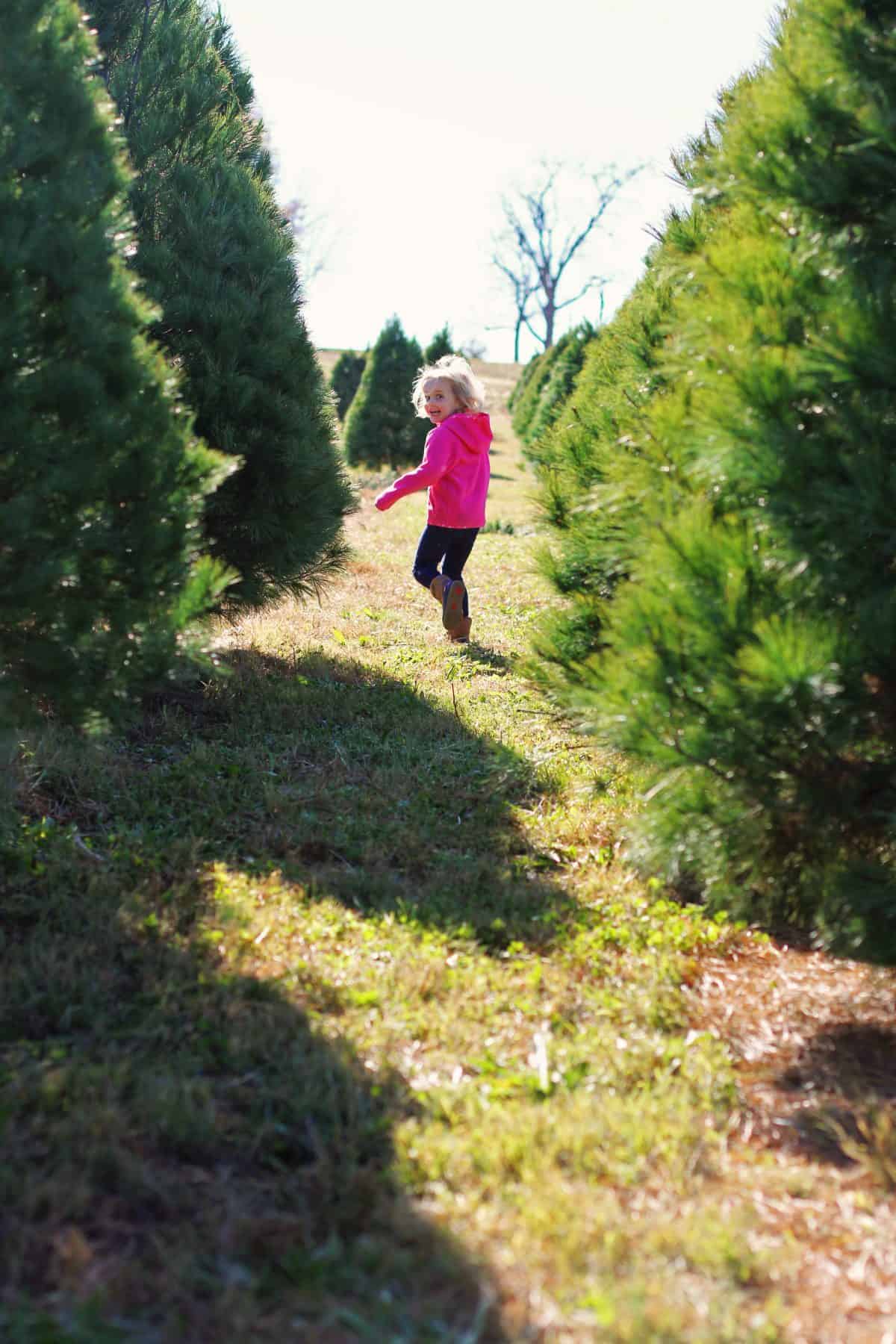 how to choose a christmas tree at a farm with kids