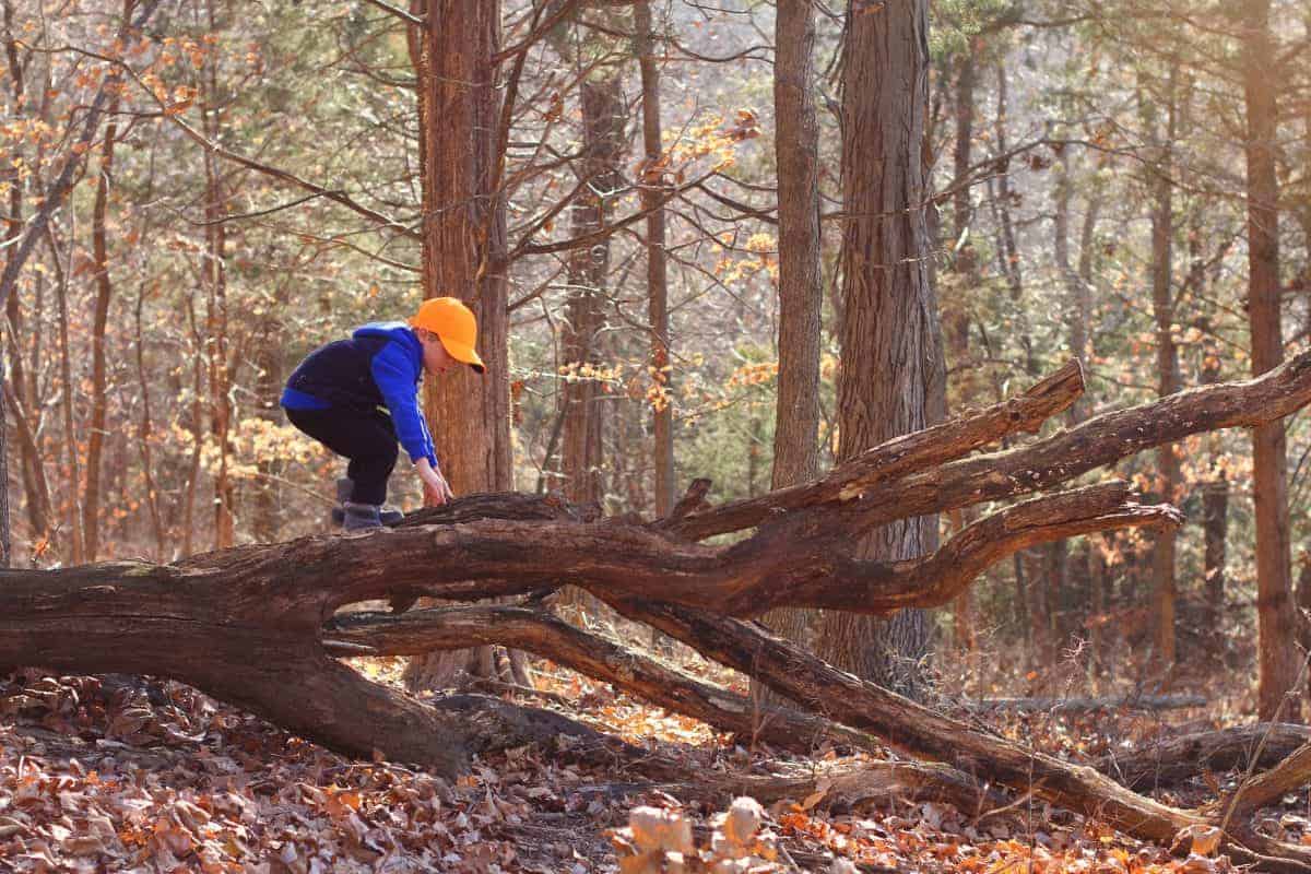 how to get outdoors more often with kids