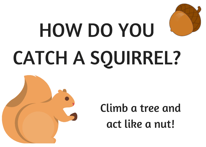 Squirrel Appreciation Day: Kid-Friendly Facts, Crafts, Books & Snacks