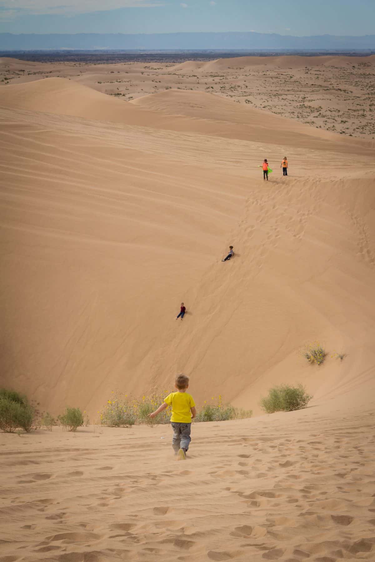 Glamis California Sand Dunes with Kids