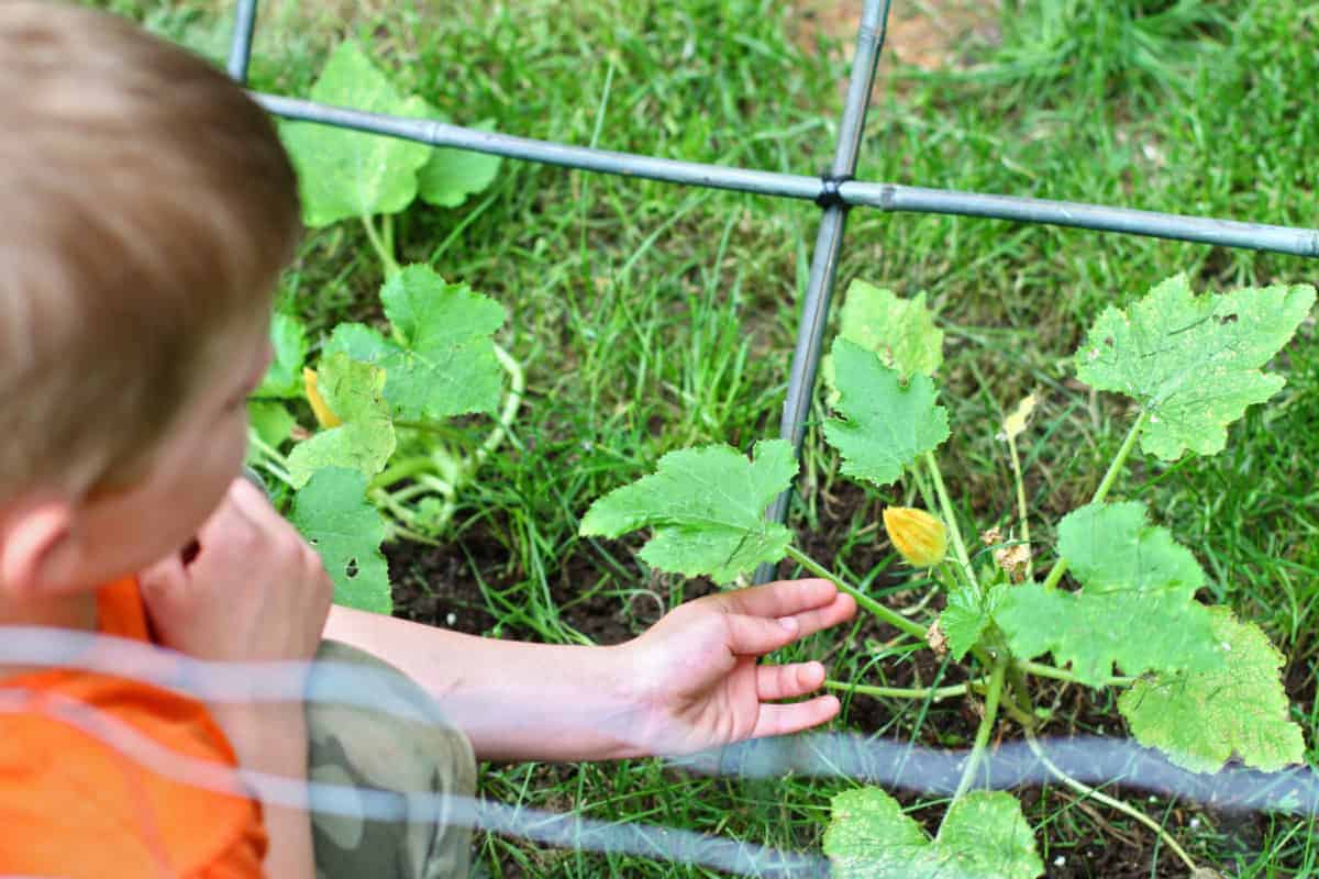 gardening with kids