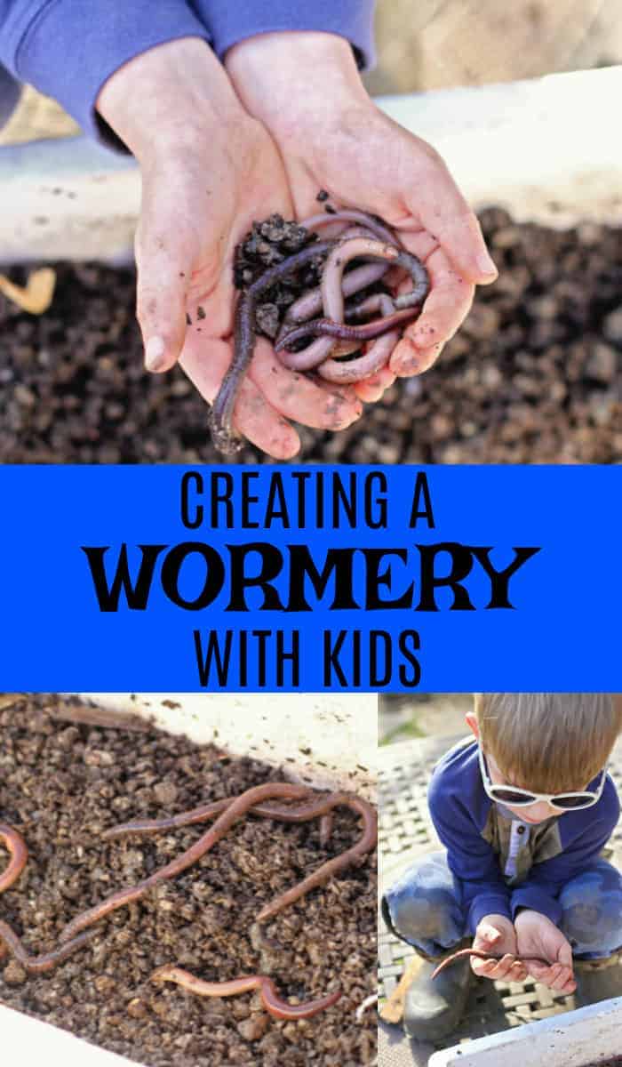 Creating a wormery with kids
