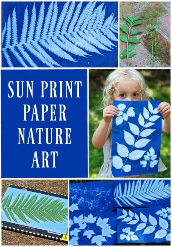 Making Sun Print Nature Art with Kids - Run Wild My Child