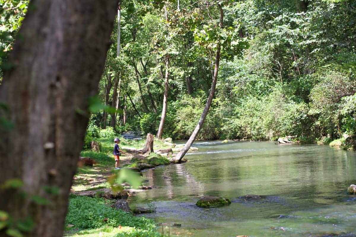 Fly Fishing for Trout with Kids at Dry Run Creek, Arkansas