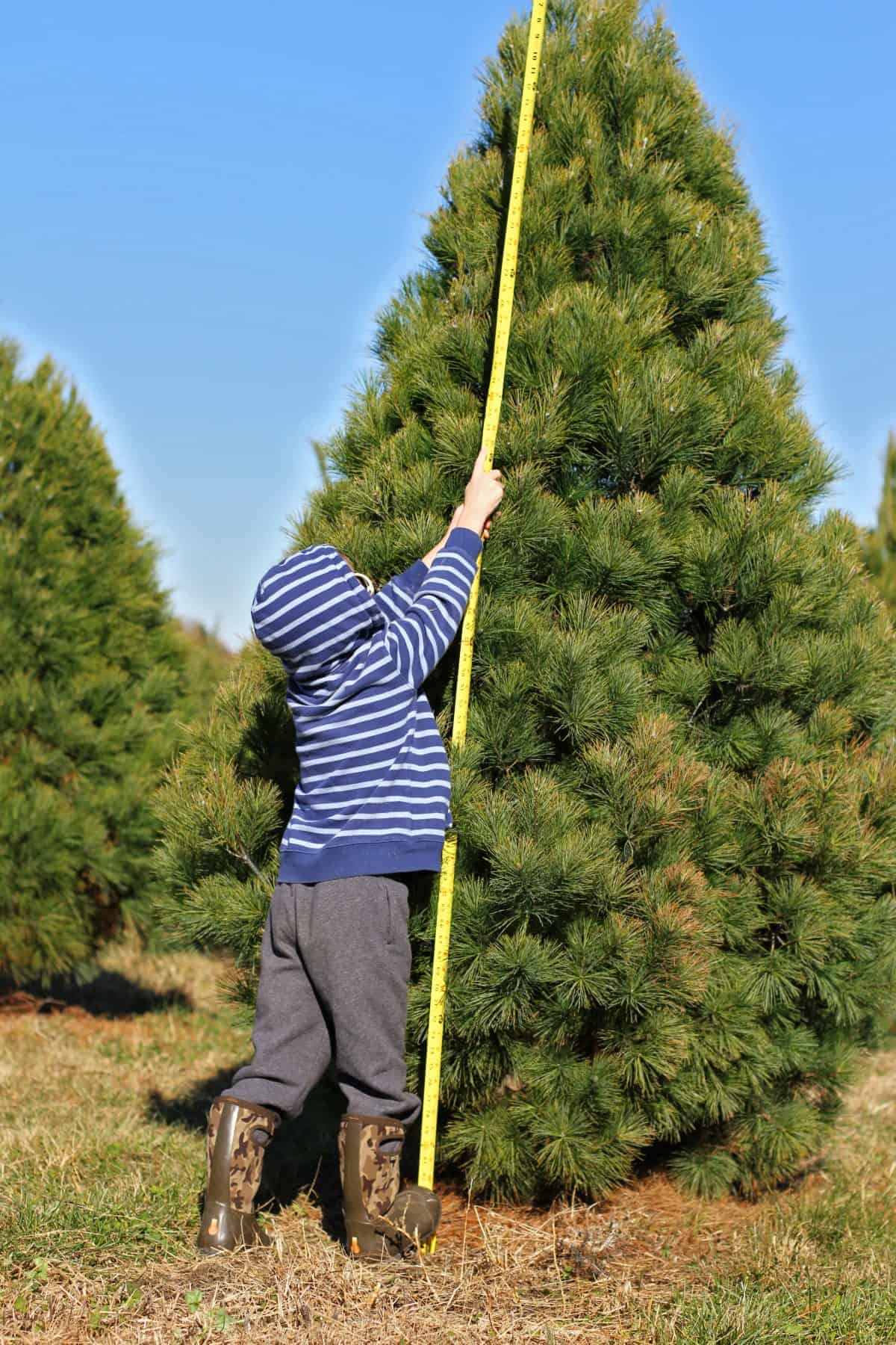 Tips voor het omzagen van je eigen kerstboom met kinderen