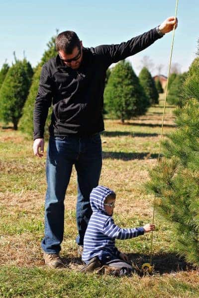 10 Tips on How to Choose & Cut Down Your Own Christmas Tree