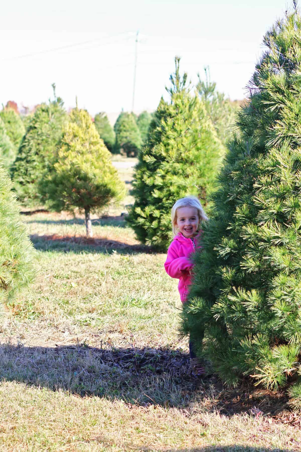 Familientradition, einen Weihnachtsbaum mit Kindern zu fällen