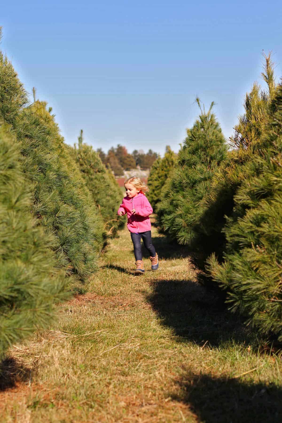 Ferme d'arbres de Noël avec des enfants