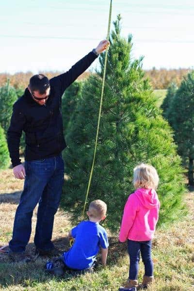 10 Tips on How to Choose & Cut Down Your Own Christmas Tree
