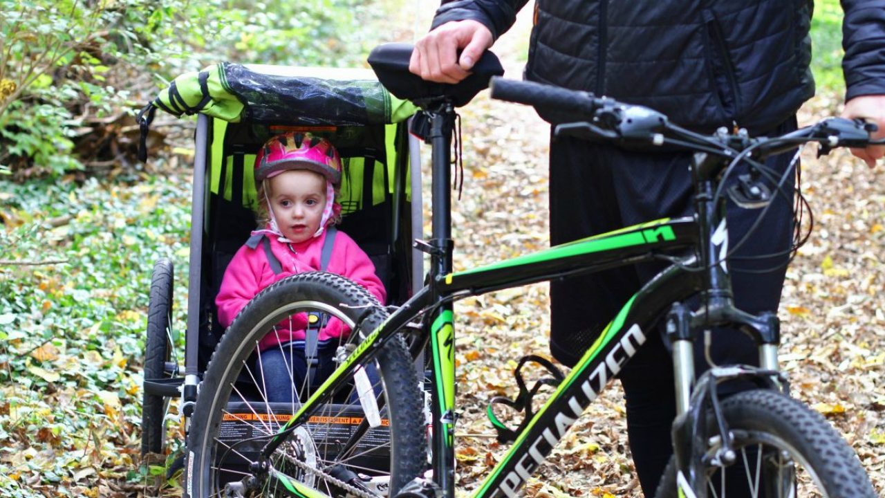 burley bike cart