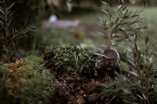 How To Design A Backyard Dinosaur Garden & Mud Kitchen