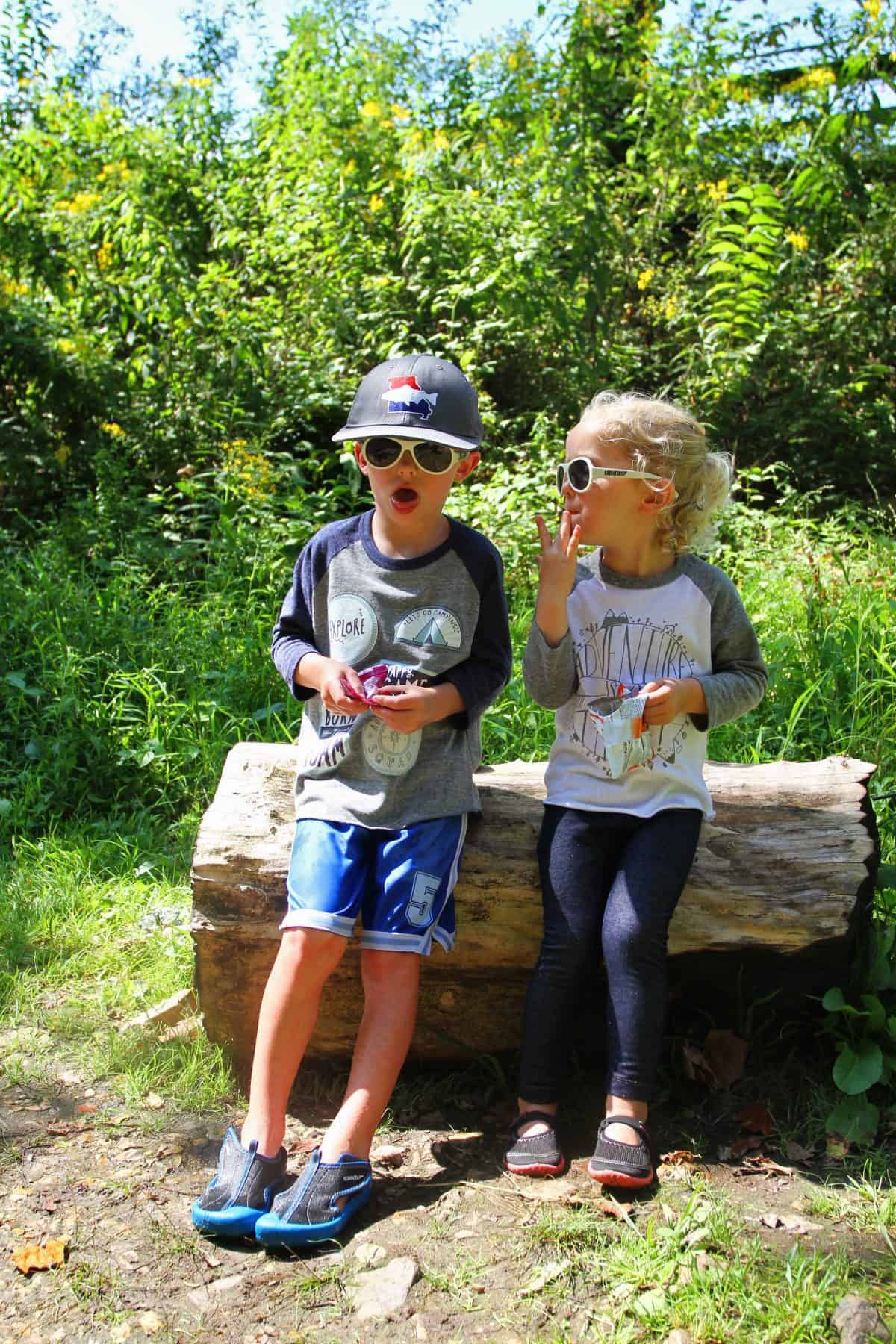 best snacks for hiking with kids