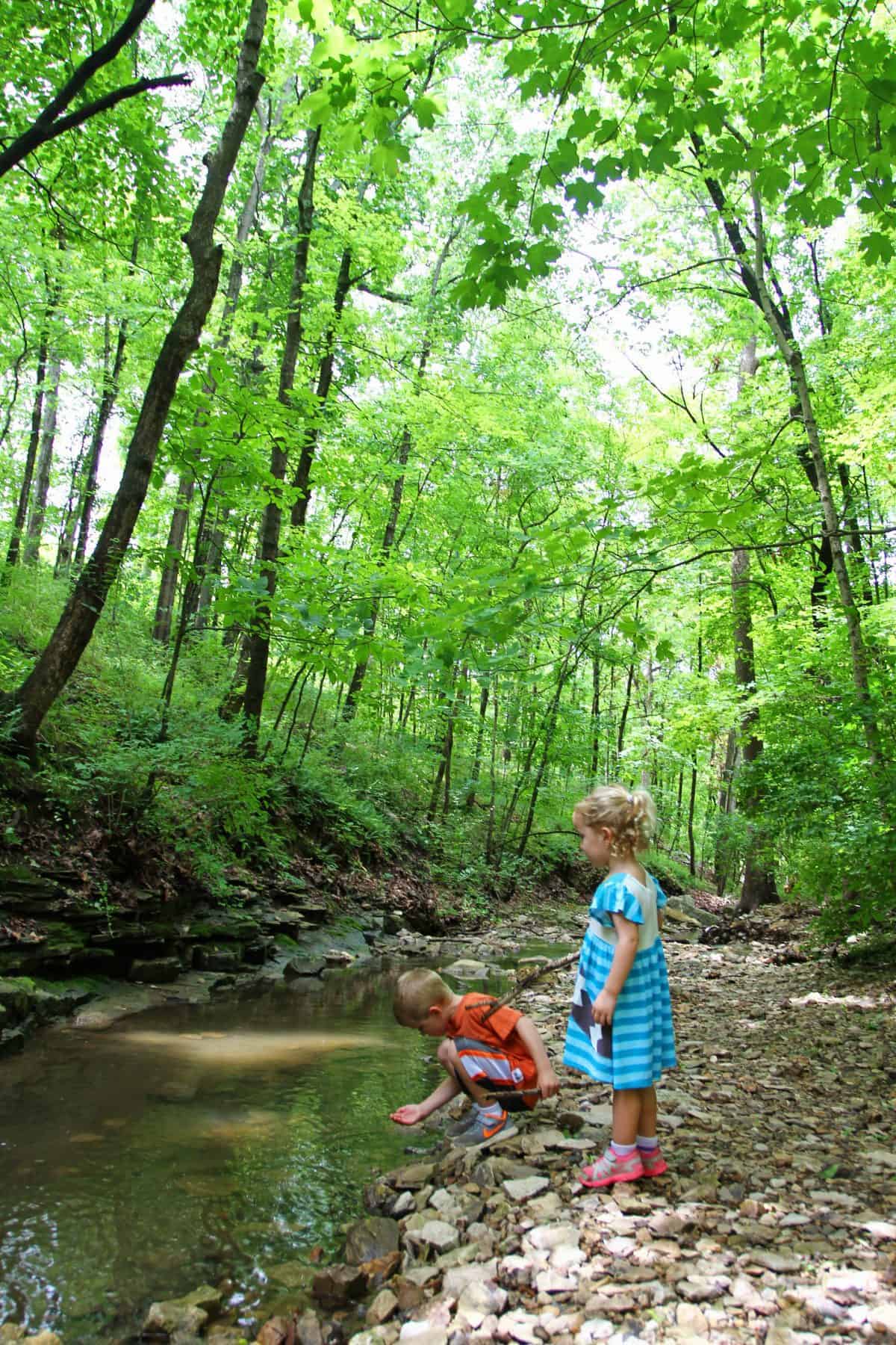 beginner's guide to hiking with kids