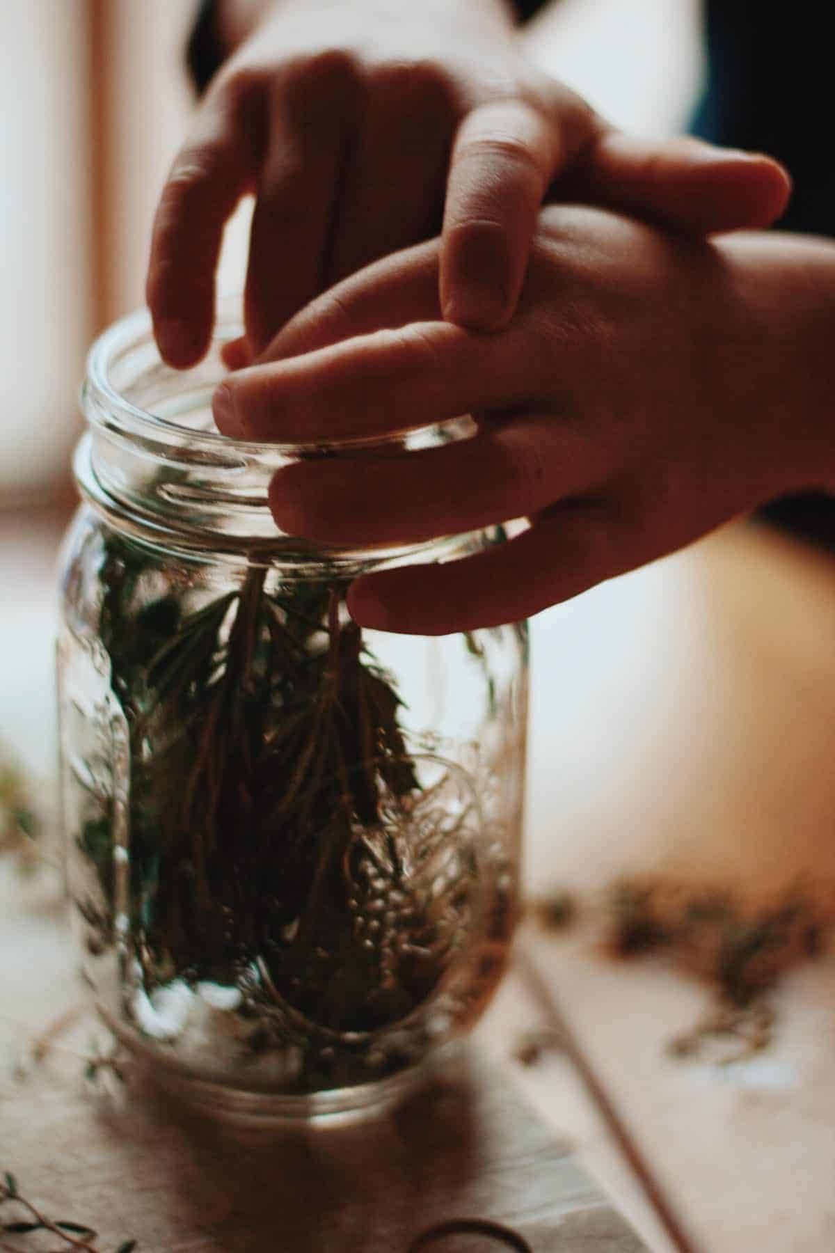 DIY all natural cleaner with herbs