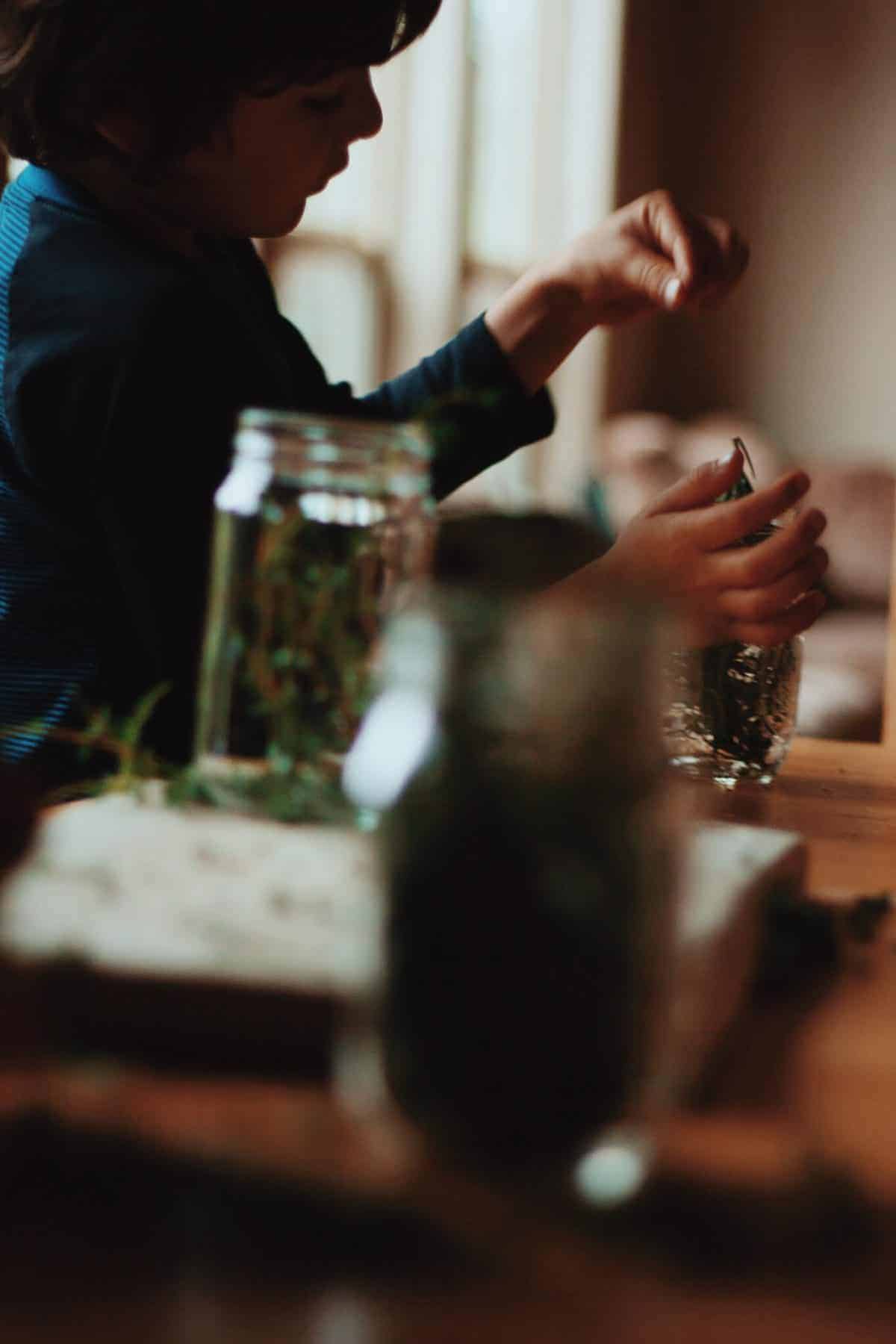 making an herbal cleaner with kids