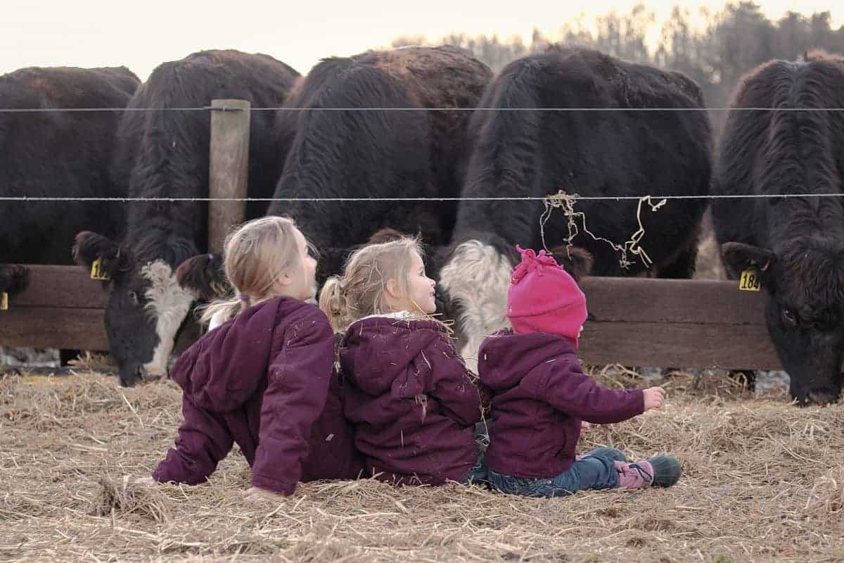 farm chores with kids