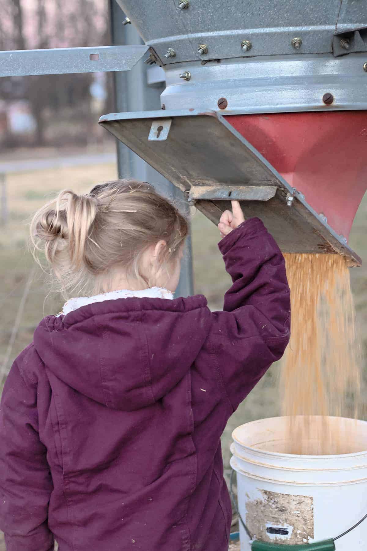  tareas de granja para niños