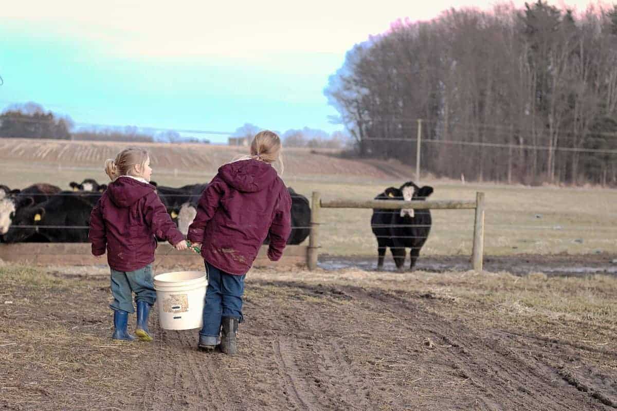 Landwirtschaft mit Kindern