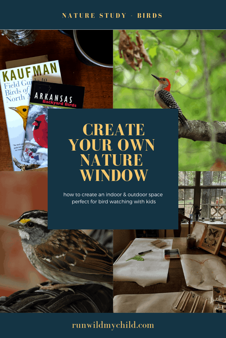 how to create your own nature window for bird watching with kids