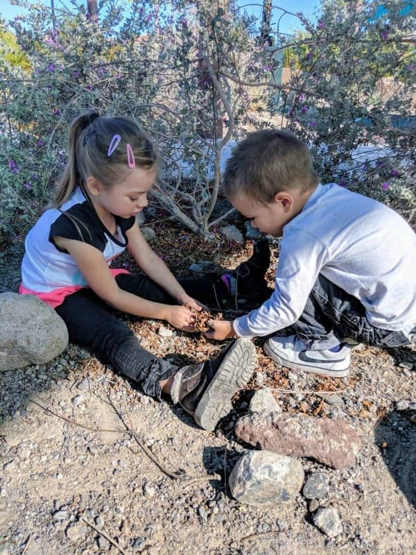 How to Be Prepared when Desert Hiking with Kids • RUN WILD MY CHILD