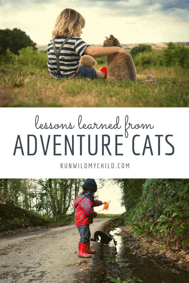 lessons learned from adventure cats