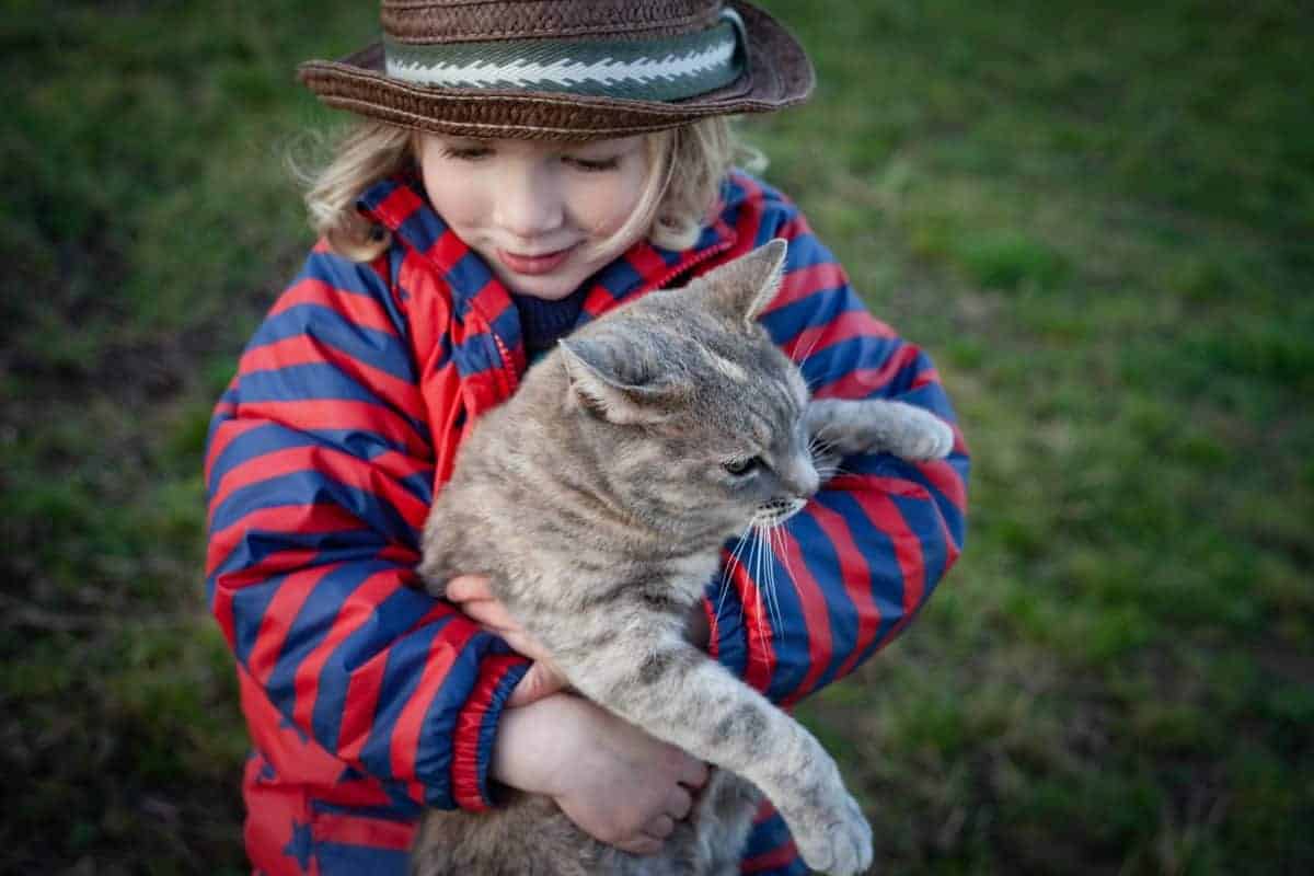 kids and cats