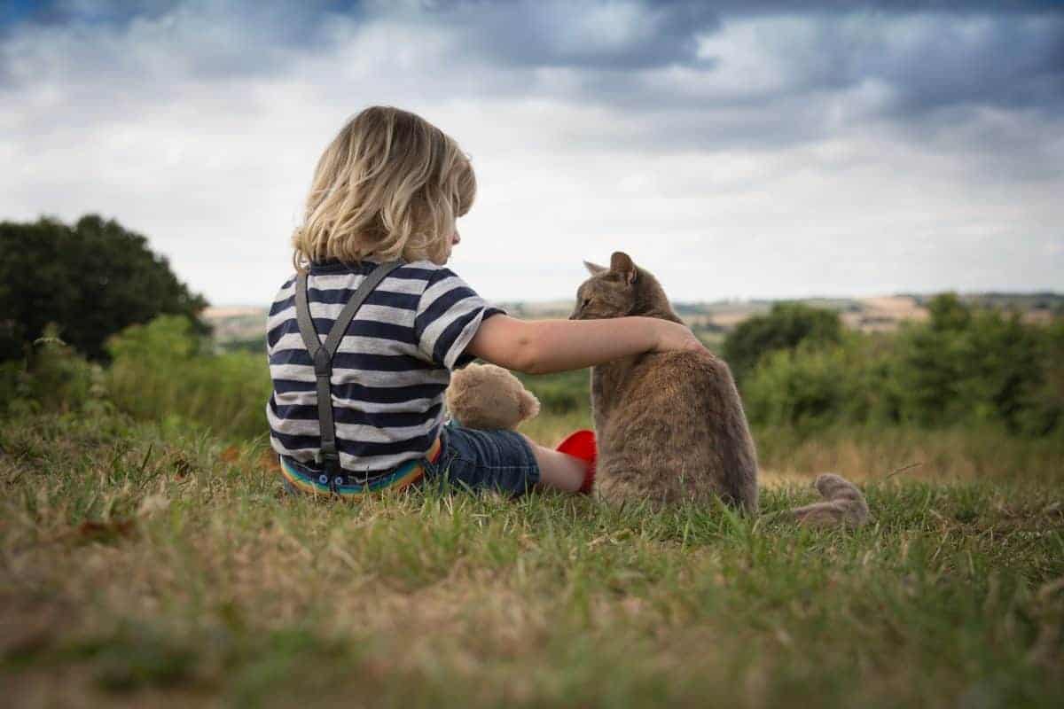 lessons learned from adventure cats and kids