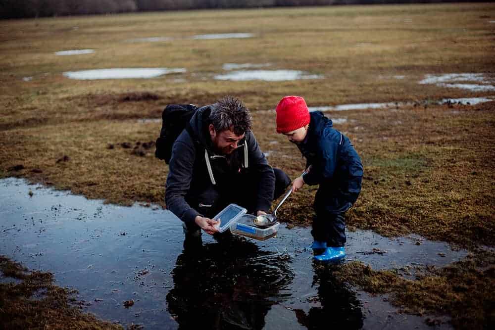 collecting frogspawn eggs to raise into tadpoles with kids