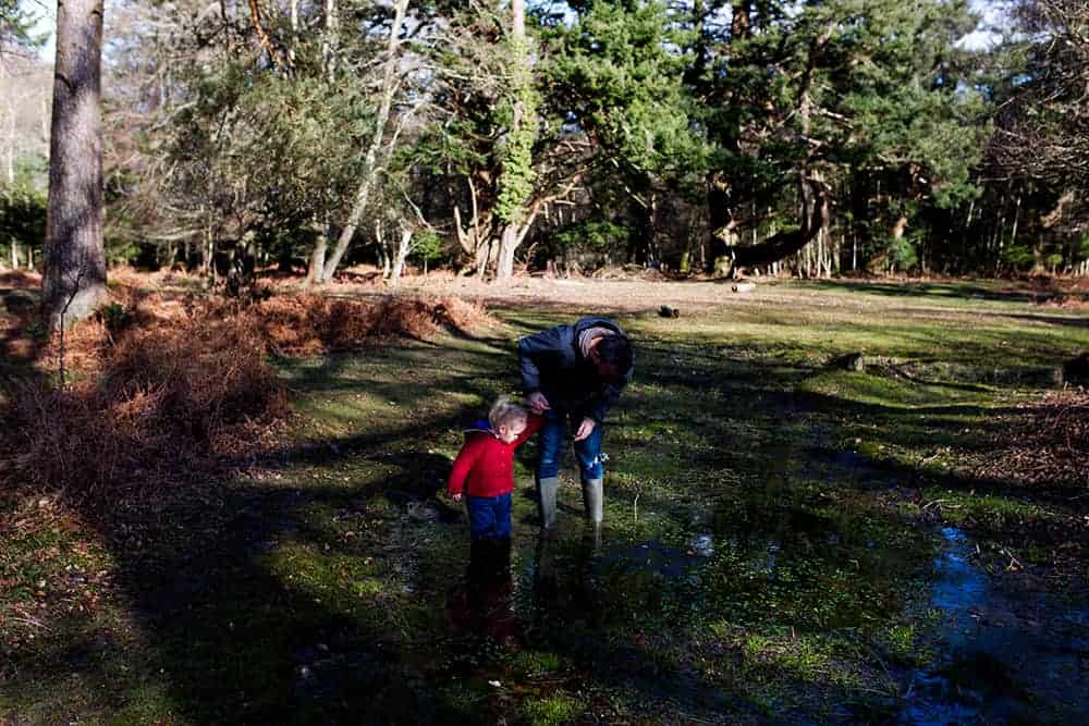 tips for finding and collecting frogspawn to raise tadpoles