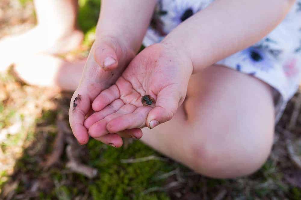 releasing froglets with kids