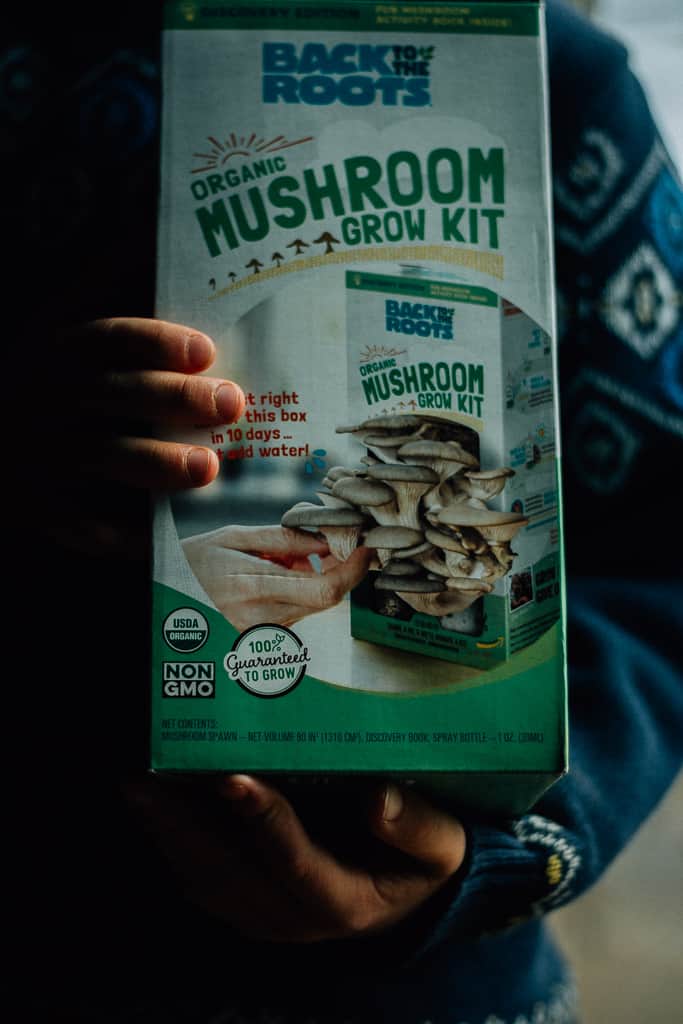 organic mushroom growing kit for kids
