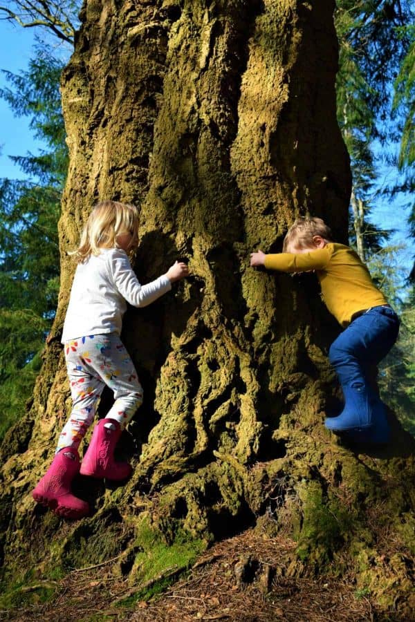 How to Create a Magical Day in the Forest for Children